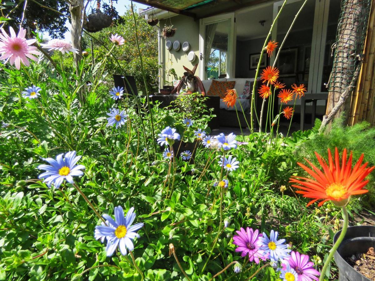 Ngwenya Garden Cottage East London Exterior foto